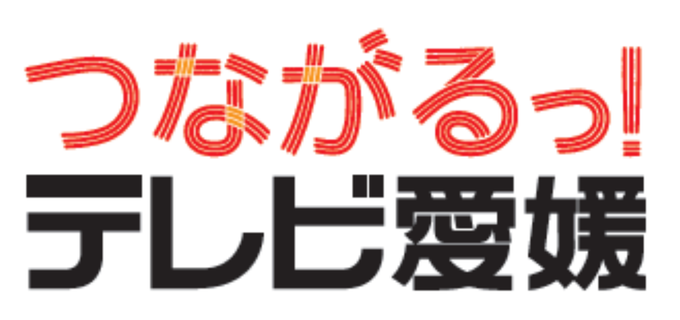 テレビ愛媛